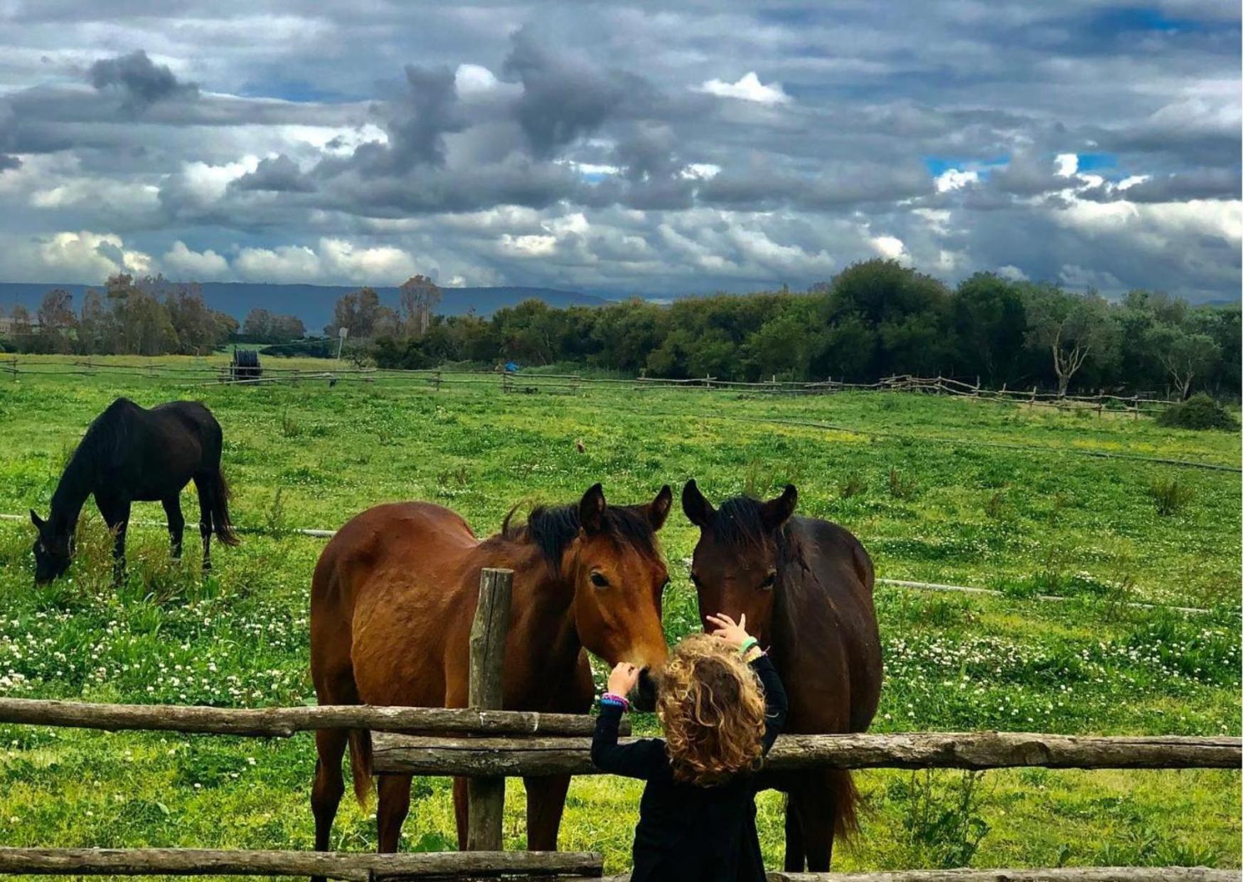 Agriturismo Sa Mandra Casa Minnina Zewnętrze zdjęcie